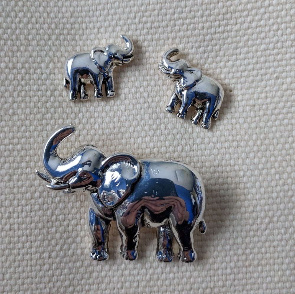 Elephant pin/pendant & earings